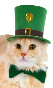 a kitty in a st patricks hat and bow tie